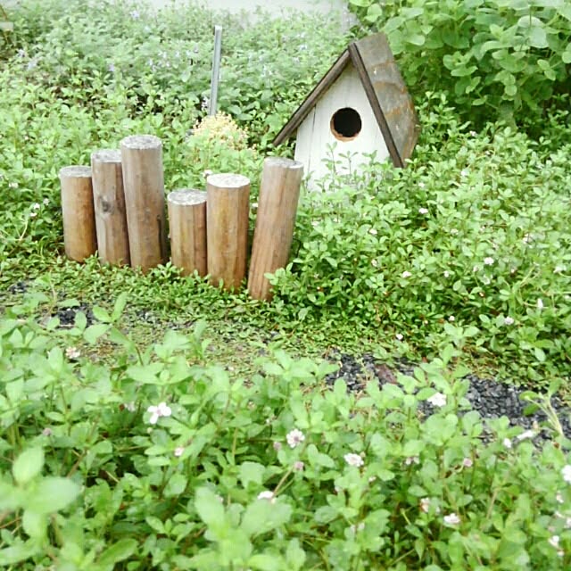 mayutan.さんの実例写真