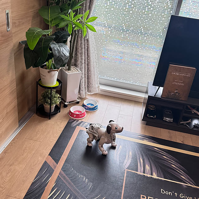aureaさんの部屋