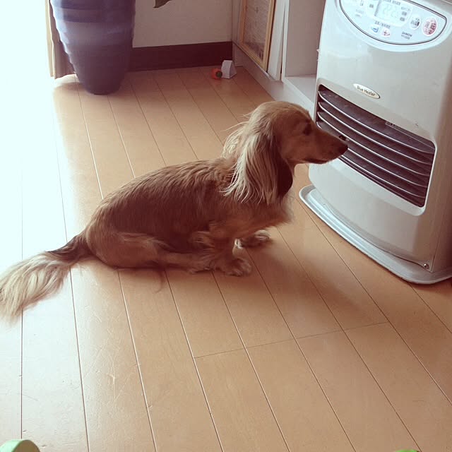 mami.さんの実例写真