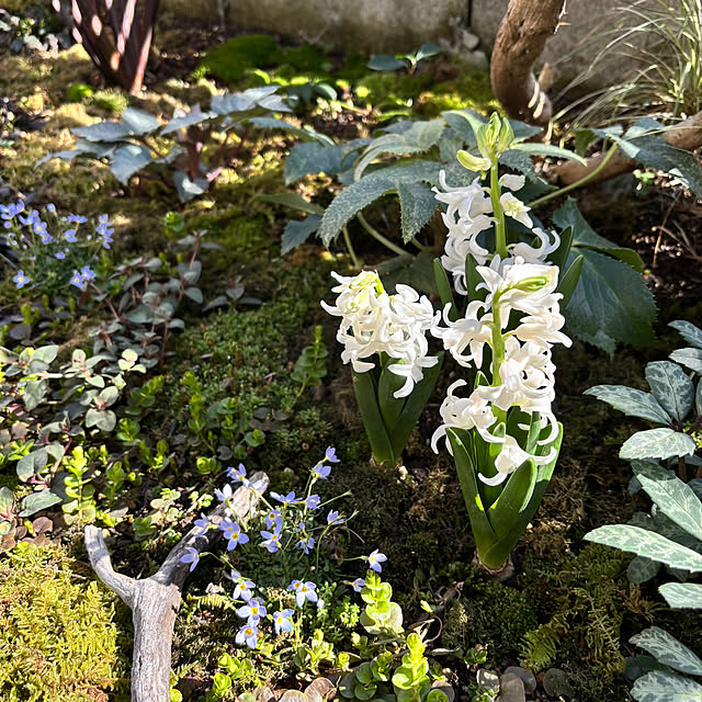 kyoko1124koさんの部屋