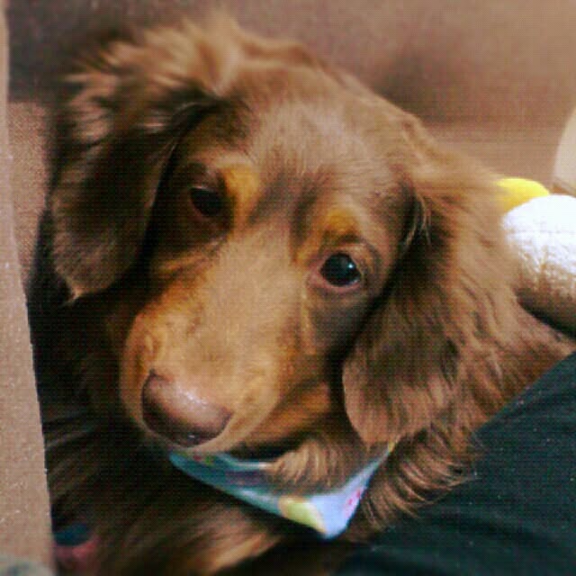 etochan88さんの実例写真