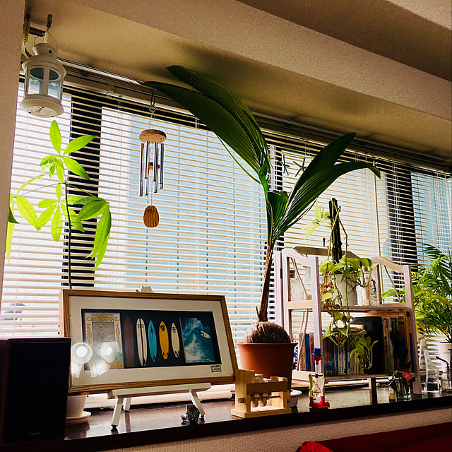 実例写真
