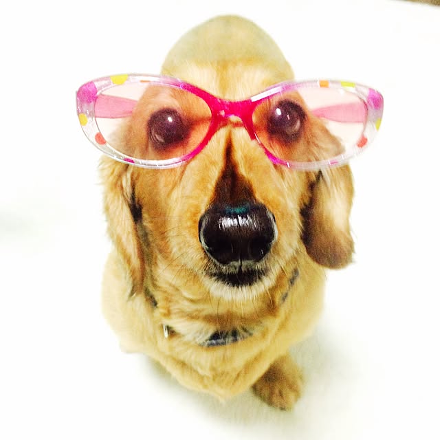 pepeさんの実例写真