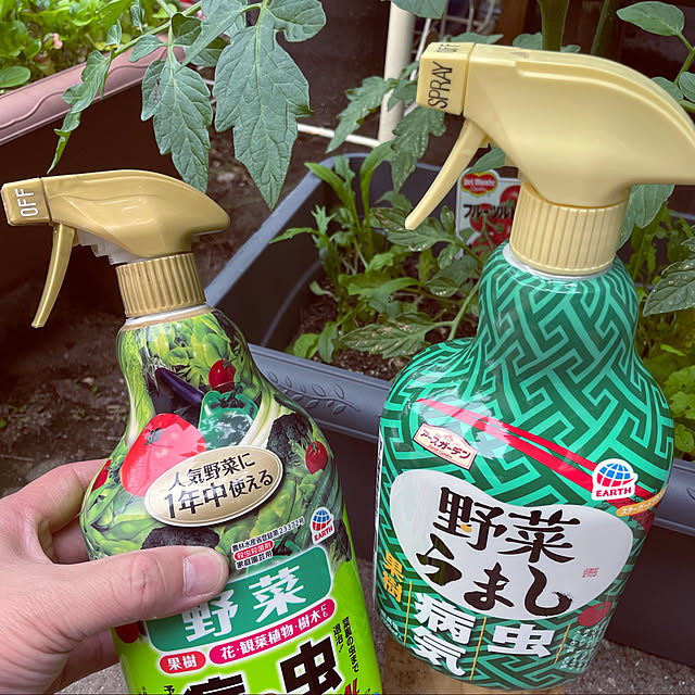 antiqueheartさんの実例写真