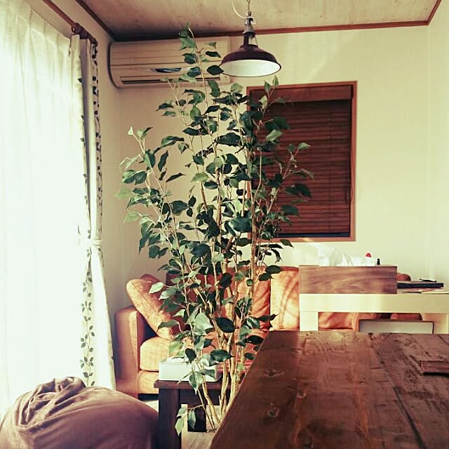 部屋全体のインテリア実例 - 2015-08-19 19:09:08