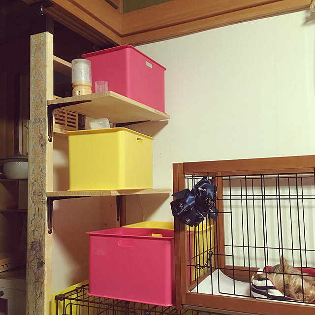Satorahappyさんの実例写真