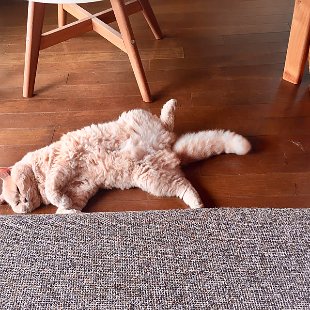 naokoさんの実例写真