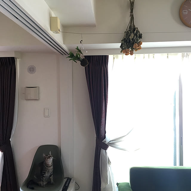 mikomaruさんの実例写真