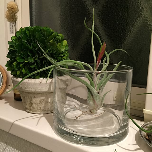 yuki0511さんの実例写真