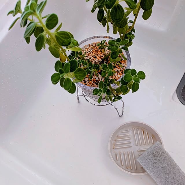 mi-saさんの部屋