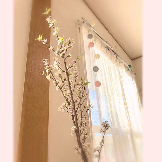 hatsu.0202さんの実例写真