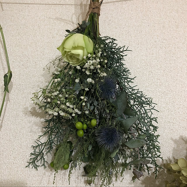 ikuraさんの実例写真