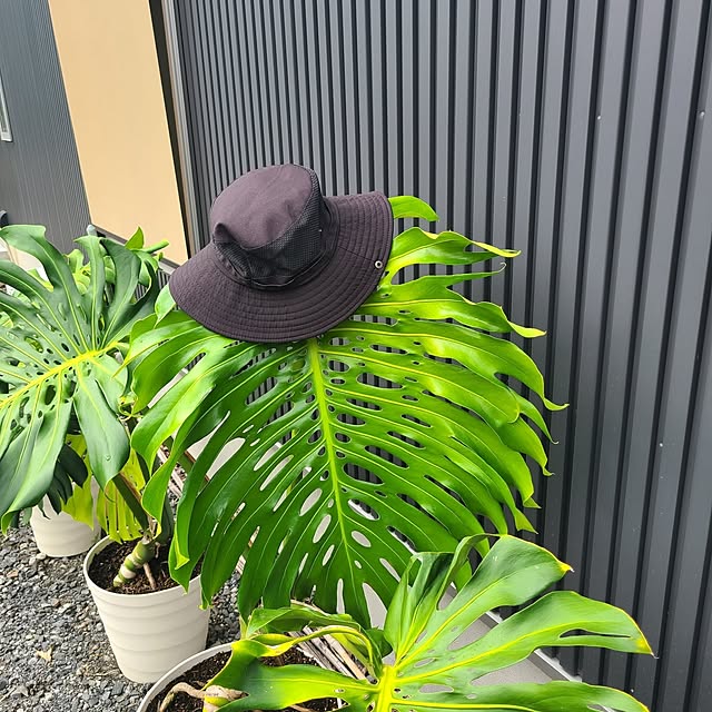 Rubiconさんの部屋