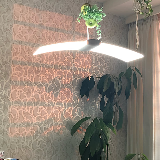 RoomClipアンケート/照明/壁/天井のインテリア実例 - 2019-09-15 15:10:51
