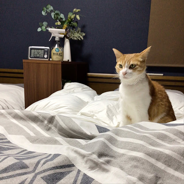 houenさんの部屋
