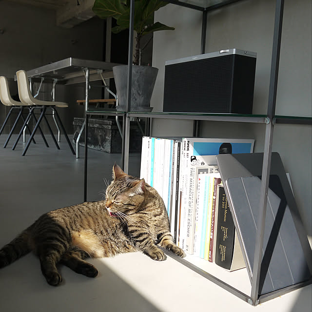 chihiroさんの実例写真