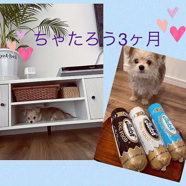seiさんの実例写真