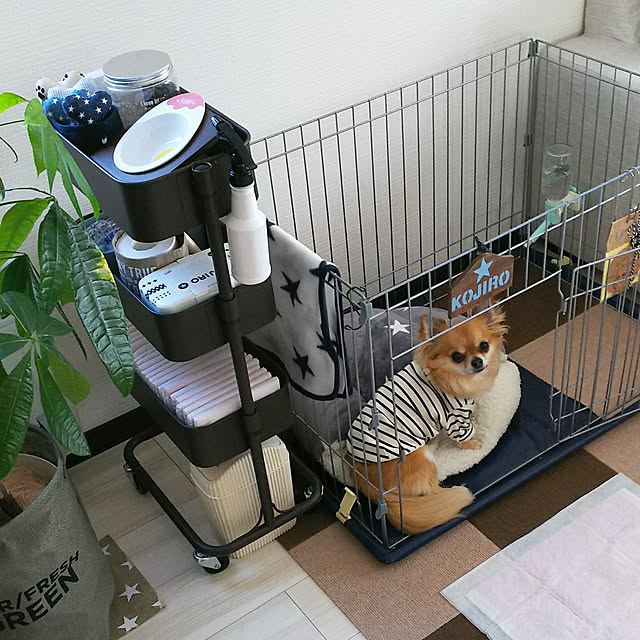 kojikojiさんの実例写真