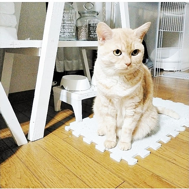 heart.emiemi57.whiteさんの実例写真