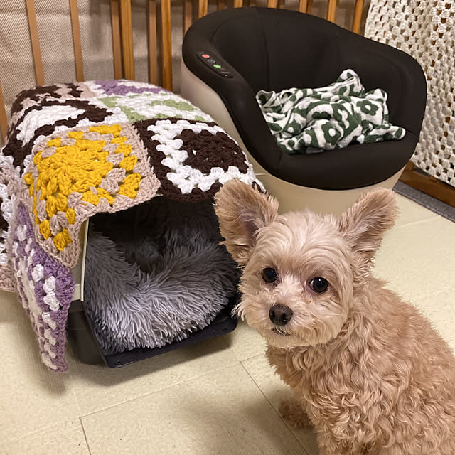 kikoさんの実例写真
