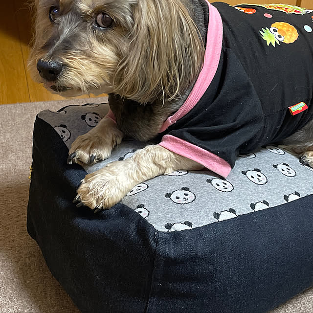 Annieさんの実例写真