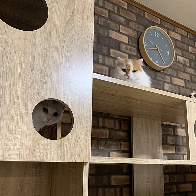 keiさんの実例写真
