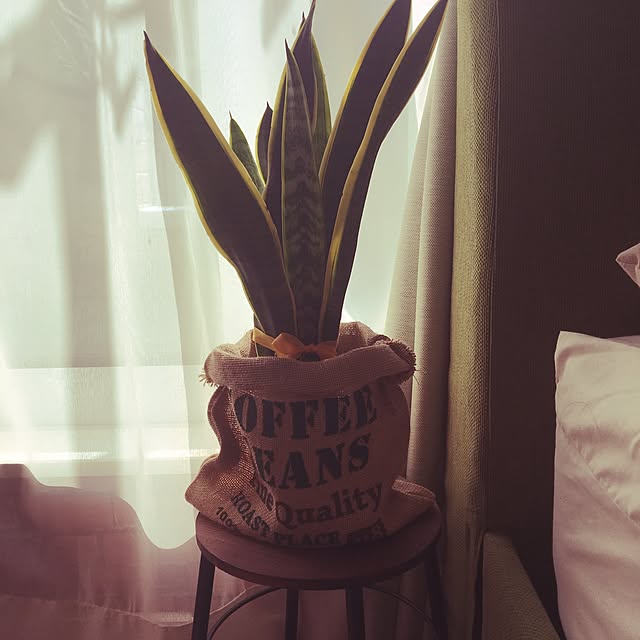 lunamamajunkoさんの実例写真