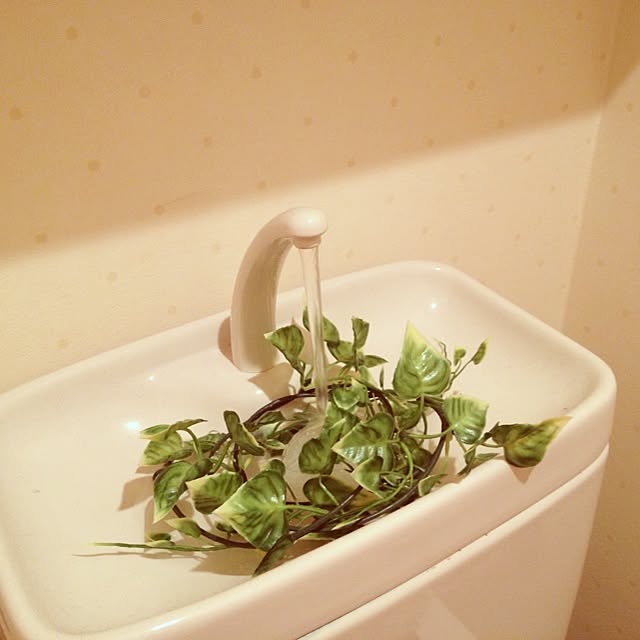 yuuさんの実例写真