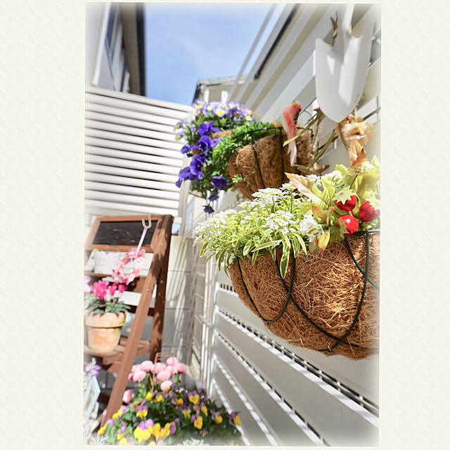 cyamiさんの実例写真