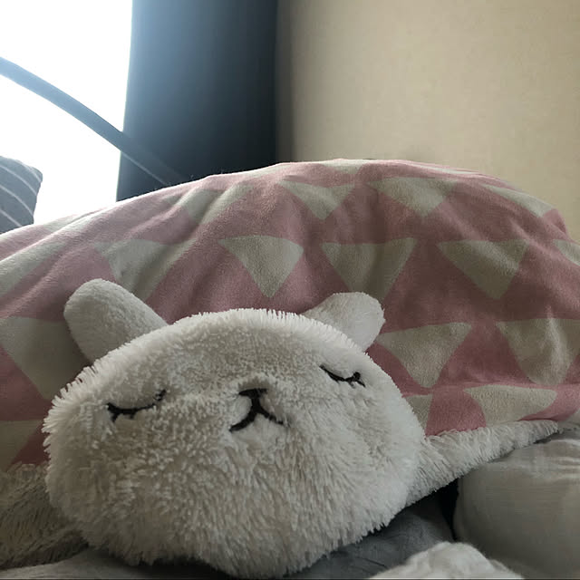 AONOKIさんの実例写真