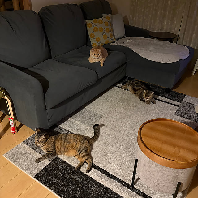 chiiさんの部屋