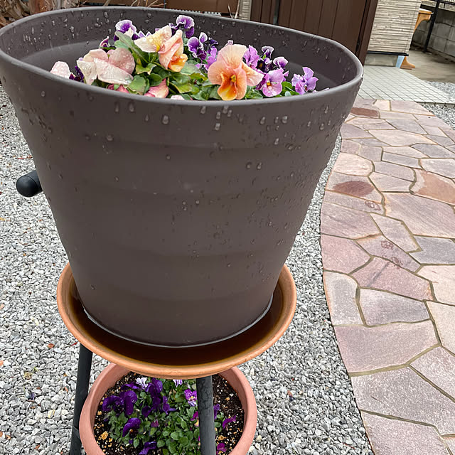 ronronさんの部屋