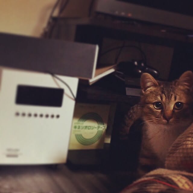yassyさんの実例写真