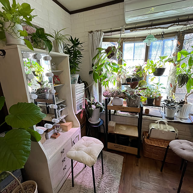 dainaoreiさんの部屋