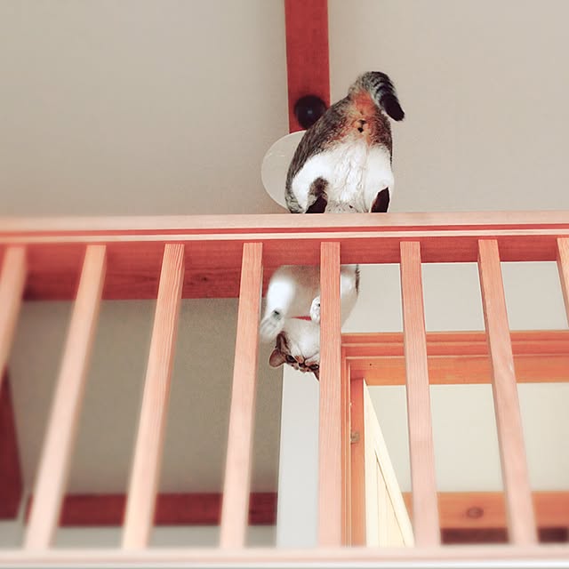 Kanakoさんの実例写真