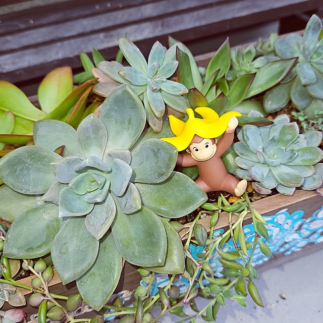 mocomocoさんの部屋