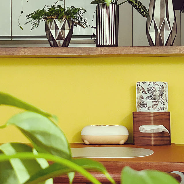 DAYONEさんの実例写真