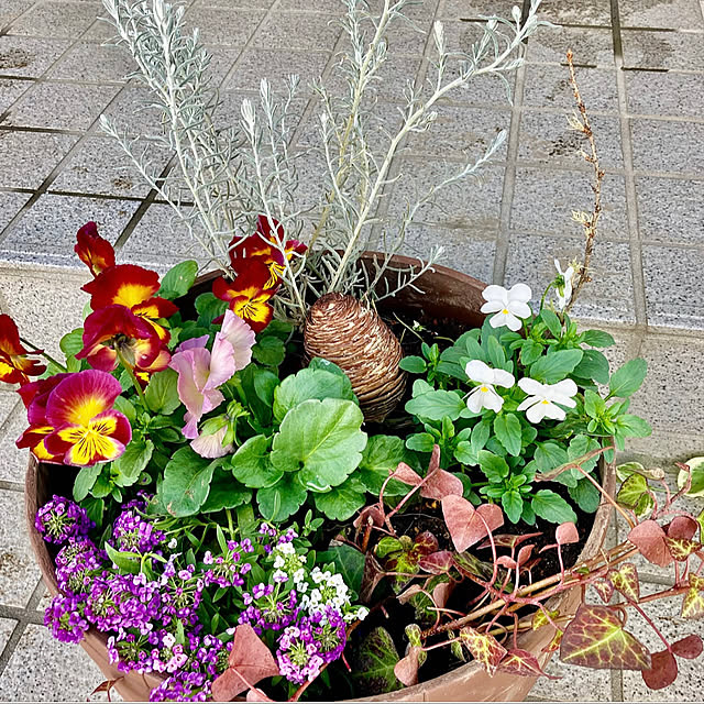 CoCo0617さんの部屋