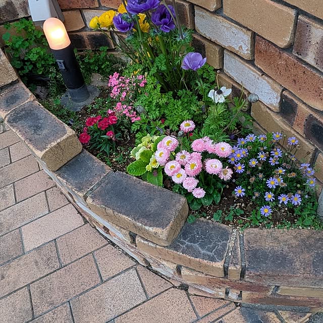 minnieさんの部屋