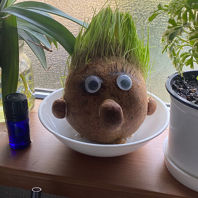 1546さんの実例写真