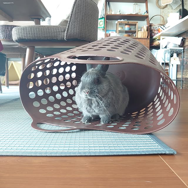 kirariさんの部屋