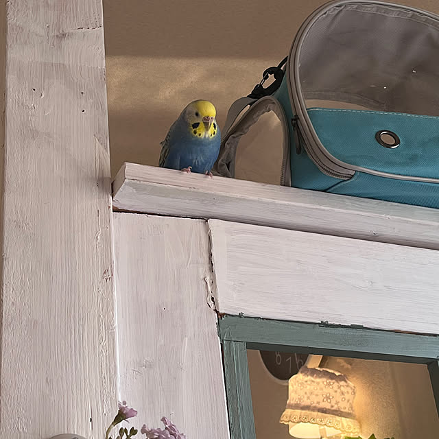 Atsukoさんの部屋