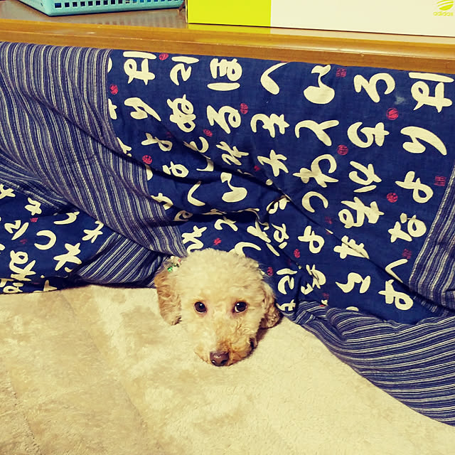 nontenrunさんの実例写真