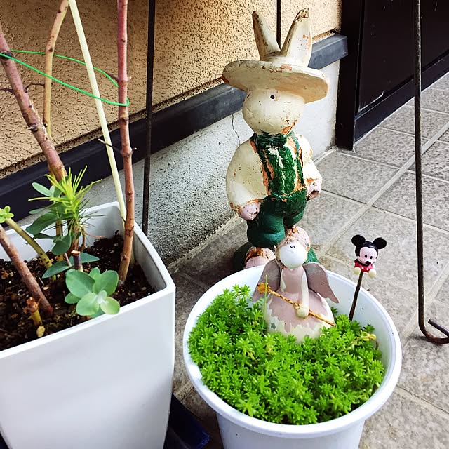 takakoさんの実例写真