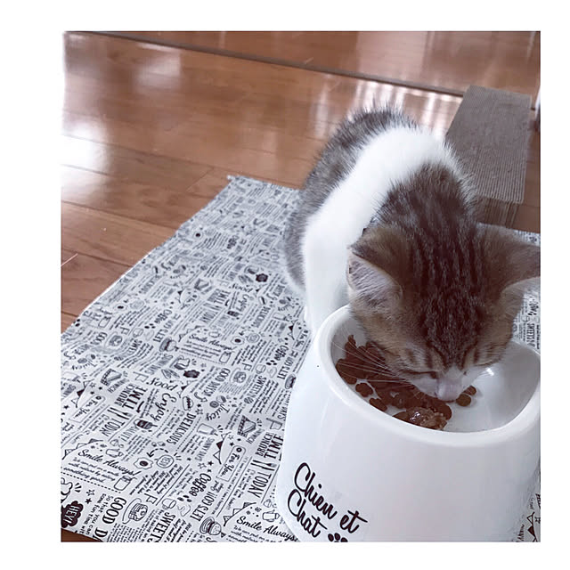 mya___kさんの実例写真