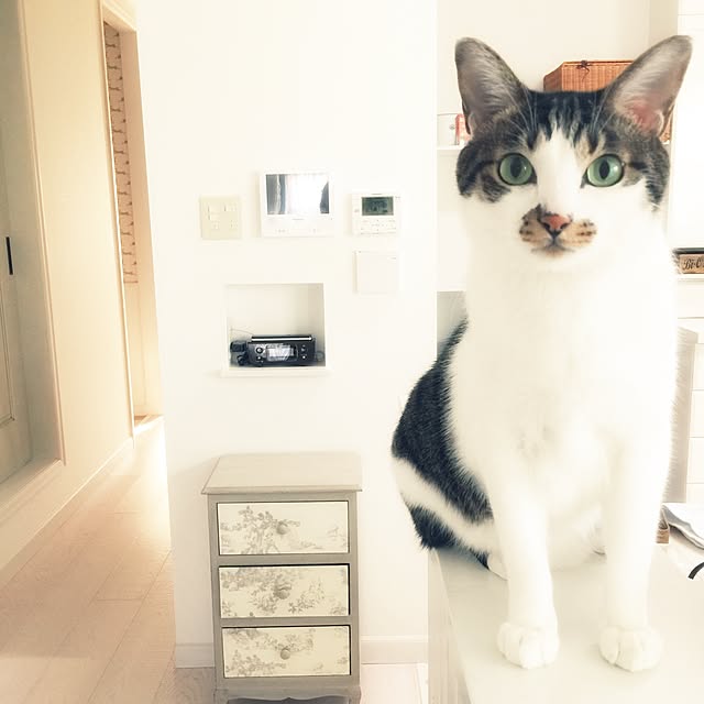yuchiさんの実例写真