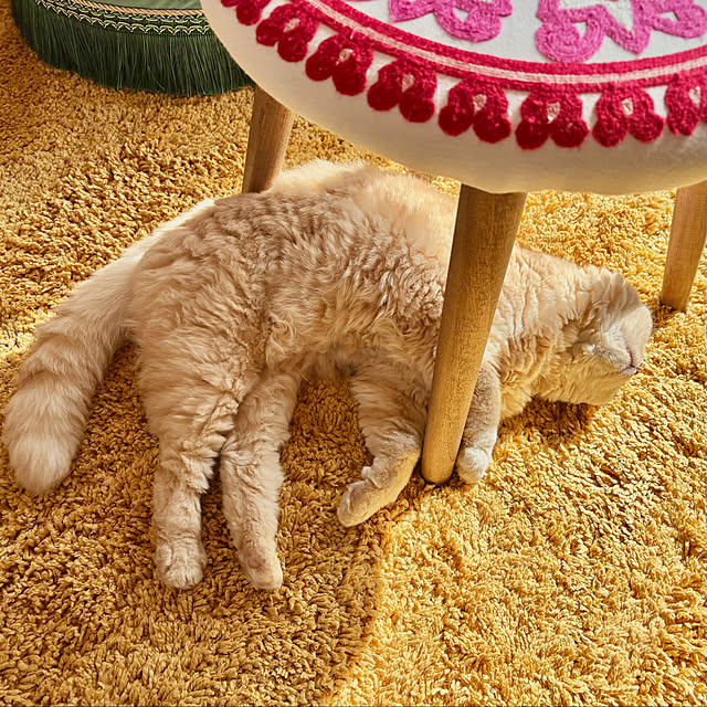 naokoさんの部屋