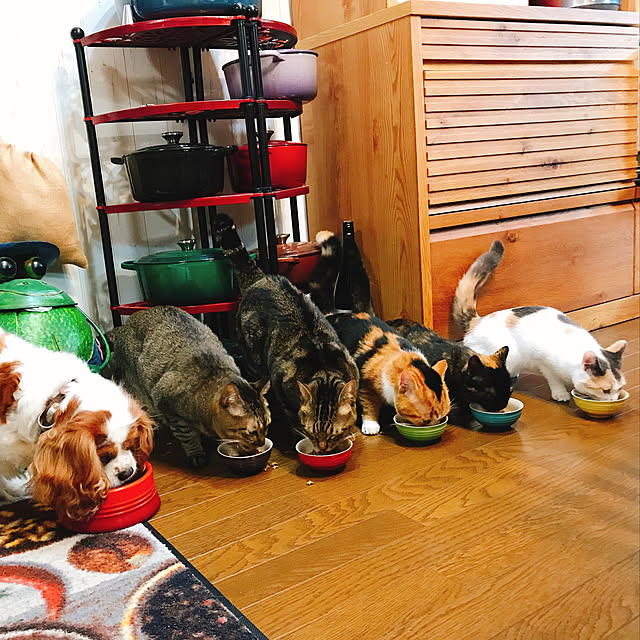pepeさんの実例写真