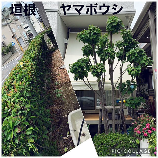 yukarin-gardenさんの実例写真