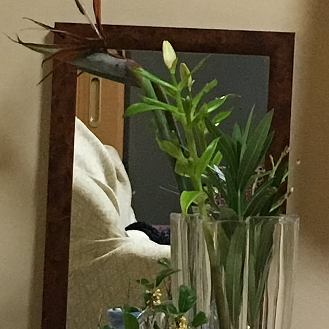 maakoさんの実例写真